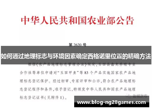 如何通过地理标志与环境因素确定西格诺里位置的精确方法