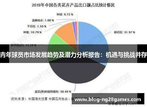 青年球员市场发展趋势及潜力分析报告：机遇与挑战并存